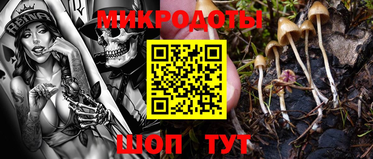 Галлюциногенные грибы мицелий Артёмовский