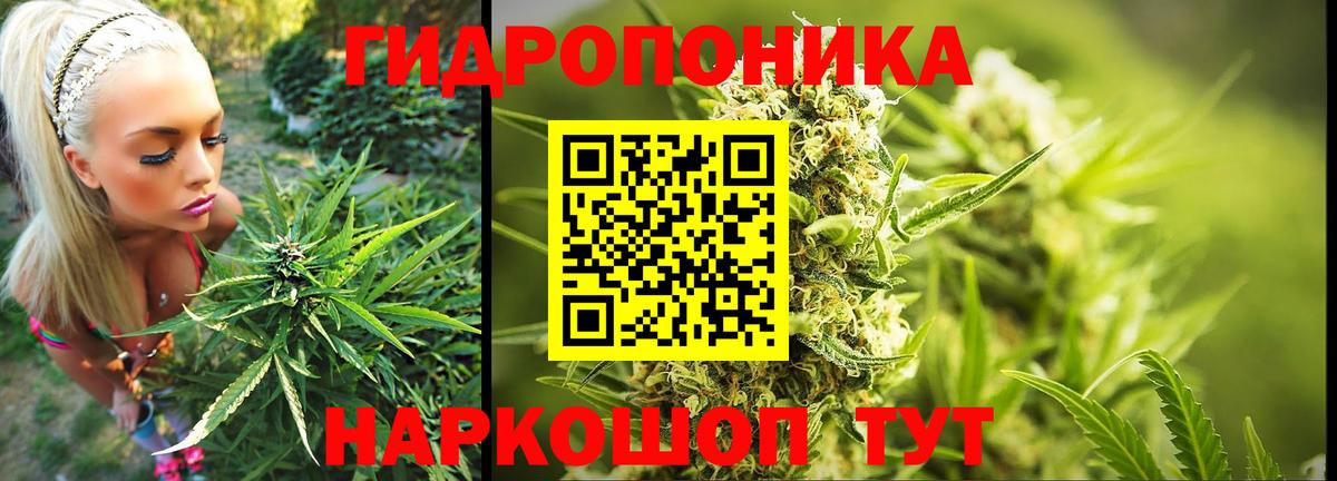 Шишки марихуана VHQ  Каннабис индика  Вход с VPN  Артёмовский  МАРИХУАНА THC 21% 